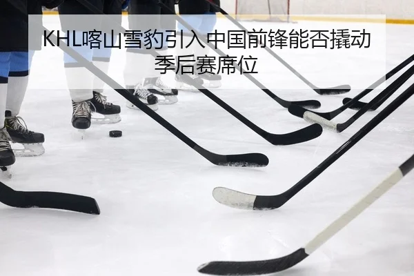 KHL喀山雪豹引入中国前锋能否撬动季后赛席位